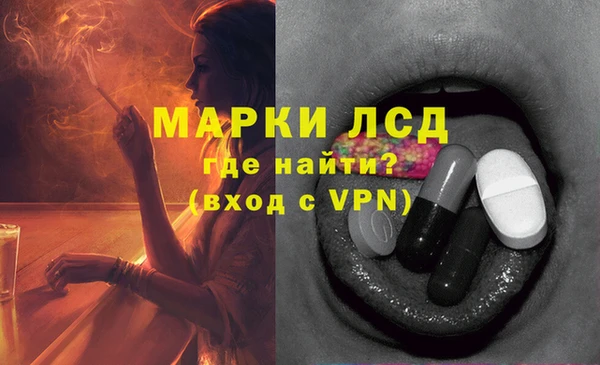 дмт Алзамай