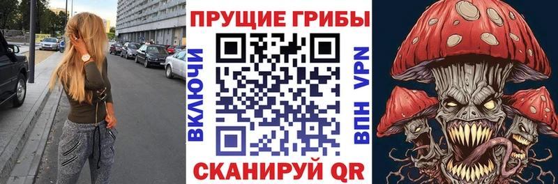 Псилоцибиновые грибы ЛСД  наркошоп  Анива 